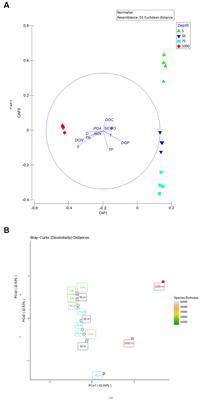 Depth-driven patterns in lytic viral diversity, auxiliary metabolic gene content, and productivity in offshore oligotrophic waters